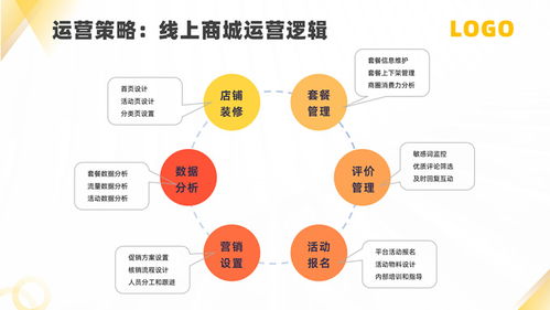 软件运营服务公司产品介绍ppt模板